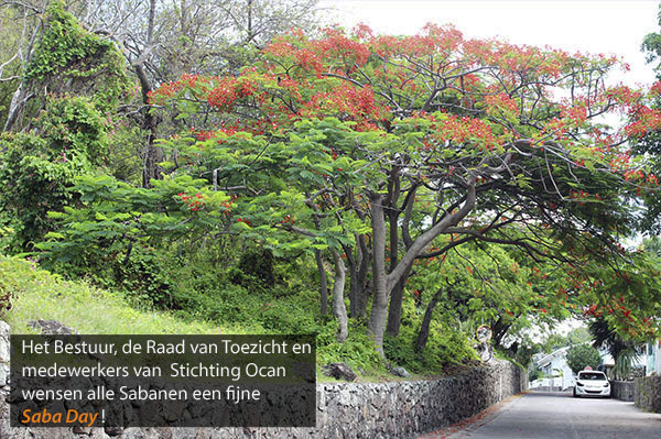Ocan groet Saba Day 2023 web 2