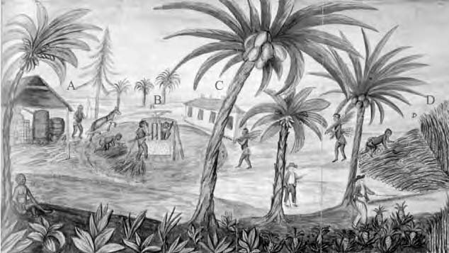 Petitie Statia Stop excavation African burial ground Ocan Caribisch