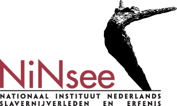 Logo NiNsee Tula dag 